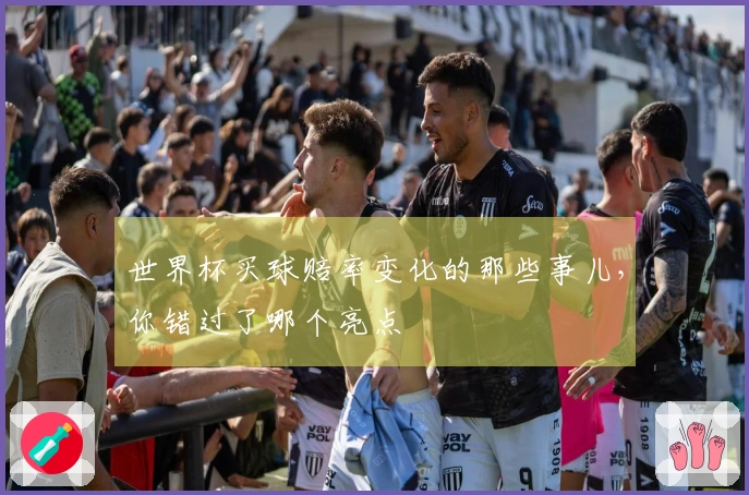 世界杯买球赔率变化的那些事儿，你错过了哪个亮点