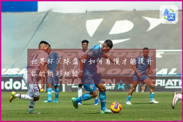 世界杯买球盘口如何看懂才能提升你的购彩经验