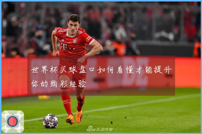 世界杯买球盘口如何看懂才能提升你的购彩经验