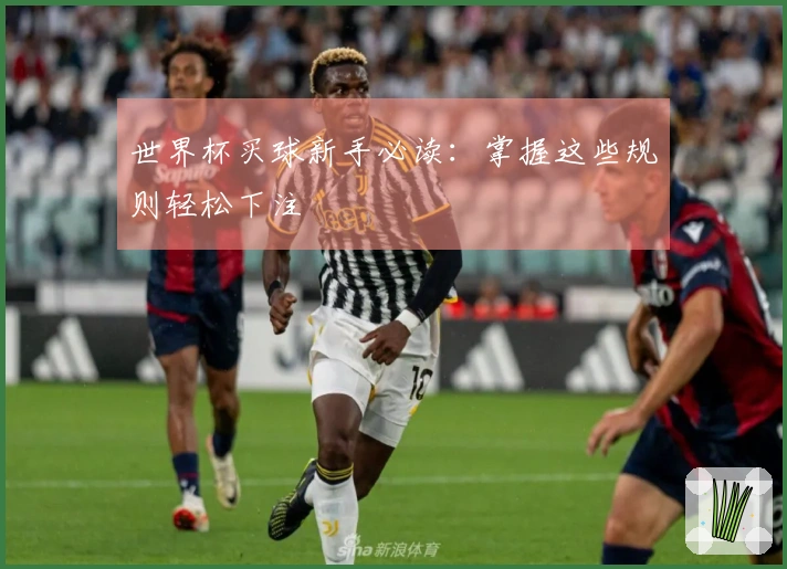 世界杯买球新手必读：掌握这些规则轻松下注