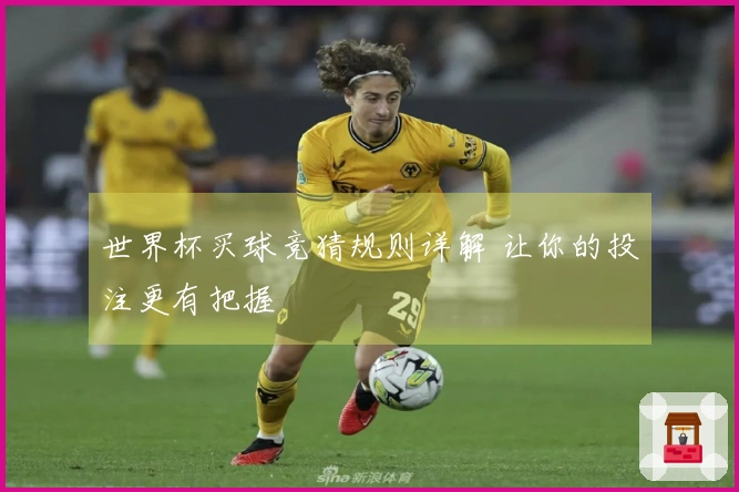 世界杯买球竞猜规则详解 让你的投注更有把握