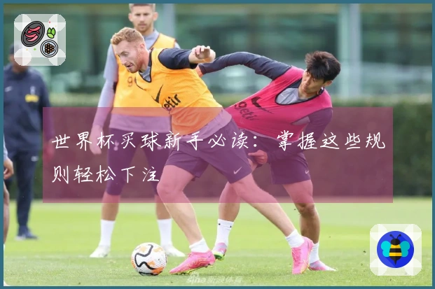 世界杯买球新手必读：掌握这些规则轻松下注