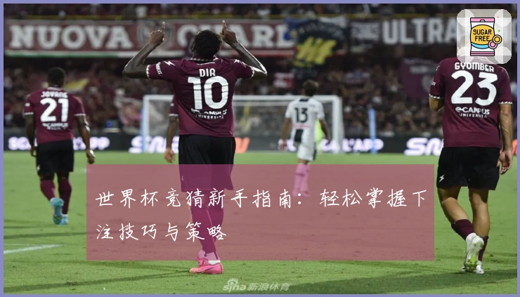 世界杯竞猜新手指南：轻松掌握下注技巧与策略